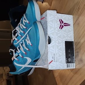 Kobe IX dusty cactus